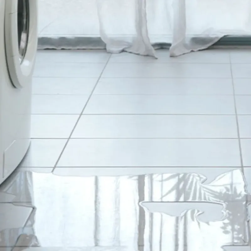 Appliance Leak Cleanup in Bulloch County, GA