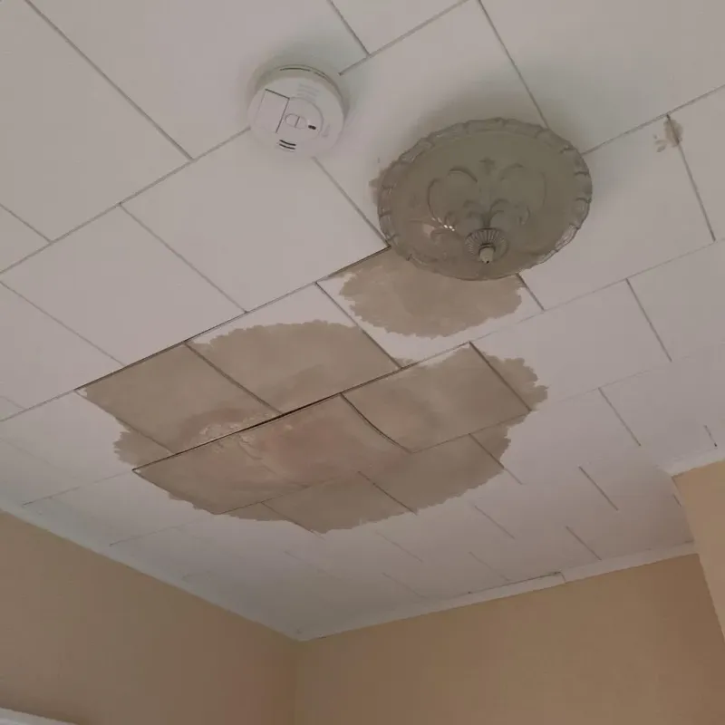 Ceiling Water Damage Repair in Bulloch County, GA