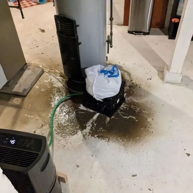 Sewage Backup Cleanup Service in Bulloch County, GA